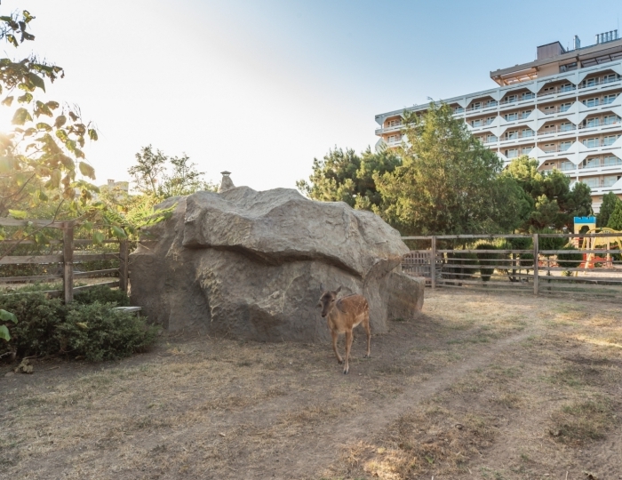 Санаторий «Планета» Евпатория
