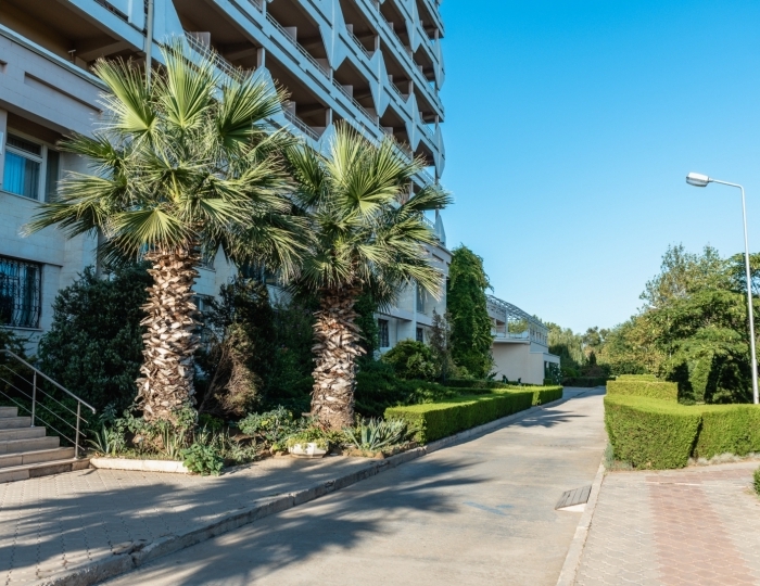 Санаторий «Планета» Евпатория